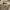 Avant Garde Casual Windbreaker Pria tan brown photo 1
