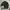 Polo Ralph Lauren Luxury Sweatshirt Pria black photo 1