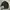 Polo Ralph Lauren Luxury Sweatshirt Pria Black
