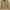 ZARA Luxury Casual Blazer Wanita tan photo 1