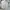 Made in USA Biker Parka Pria white gray photo 3