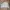 Streetwear Casual Windbreaker Pria cream photo 1