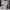 Hugo Boss Streetwear Casual Polo shirt Pria white photo 2