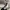 Dickies Streetwear Skater Casual pants Pria navy black photo 5