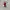 Supreme Streetwear Other Pria white red photo 2