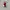 Supreme Streetwear Other Pria White Red