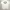 Supreme Streetwear Skater T-shirt Pria White