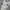Japanese Brand Sportswear Casual Sweatshirt Pria White Gray