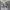 Japanese brand Sportswear Casual Sweatshirt Pria white gray photo 4