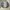 Japanese brand Sportswear Casual Sweatshirt Pria white gray photo 1