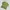 Casual Sweatshirt Wanita green photo 1