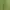 Casual Sweatshirt Wanita green photo 2