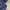 Dickies Casual Casual shirt Pria navy photo 2