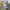 Streetwear Y2K Hat Pria multicolor photo 5