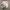 Polo Ralph Lauren Luxury Sweatshirt Pria white photo 1