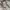 Polo Ralph Lauren Luxury Sweatshirt Pria white photo 5