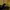 The North Face Vintage Casual Puffer jacket Pria gold yellow photo 6