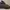 ECCO Reworked Boots Pria Black