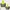 Nike Minimalist Hoody Pria gray yellow photo 1