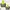 Nike Minimalist Hoody Pria Gray Yellow