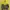 Nike Minimalist Hoody Pria gray yellow photo 2