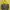 Nike Minimalist Hoody Pria gray yellow photo 4