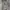 Gramicci Streetwear Casual pants Pria gray photo 6