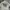 Santa Cruz Skateboards Y2K Briefcase Wanita multicolor photo 1