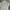 Santa Cruz Skateboards Y2K Briefcase Wanita multicolor photo 2