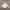 GAP Casual Hoody Pria white photo 2