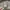 Mastermind Japan Casual T-shirt Pria gray photo 4