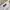 Sportswear Casual T-shirt Pria white photo 5