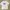 Sportswear Casual T-shirt Pria white photo 1