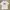 Sportswear Casual T-shirt Pria White