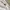 Sportswear Casual T-shirt Pria white photo 4