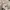 Under Armour Vintage T-shirt Pria gray photo 2