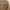 Spao Casual Sweatshirt Pria brown photo 4