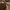 Carhartt Streetwear T-shirt Pria brown photo 2