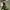 Vintage Streetwear Fur coat Wanita green photo 1
