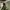 Vintage Streetwear Fur Coat Wanita Green