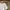 Carhartt Streetwear T-shirt Pria white photo 2