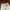 The North Face Gorpcore Grunge Sweatpants & Joggers Wanita cream photo 6