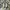 Adidas Indie Casual Sneakers Pria white black photo 3