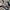 Adidas Indie Casual Sneakers Wanita white black photo 2