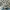 New Balance Gorpcore Casual Sneakers Wanita white gray photo 1