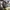 VANS Streetwear Casual Sneakers Pria white black photo 6