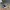 VANS Streetwear Casual Sneakers Pria white black photo 2