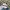 On Running Sportswear Sneakers Wanita white tan photo 1