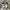 On Running Sportswear Sneakers Wanita white tan photo 3