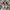 On Running Sportswear Sneakers Wanita white pink photo 3